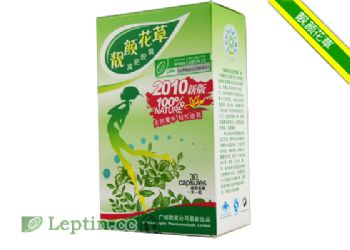 ���ջ��ݼ��ʽ���-�Ҳ���