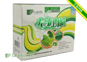 ����Leptin�������-�����