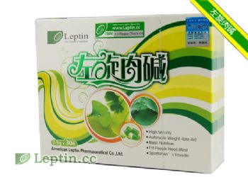 ����Leptin�������-�Ҳ���